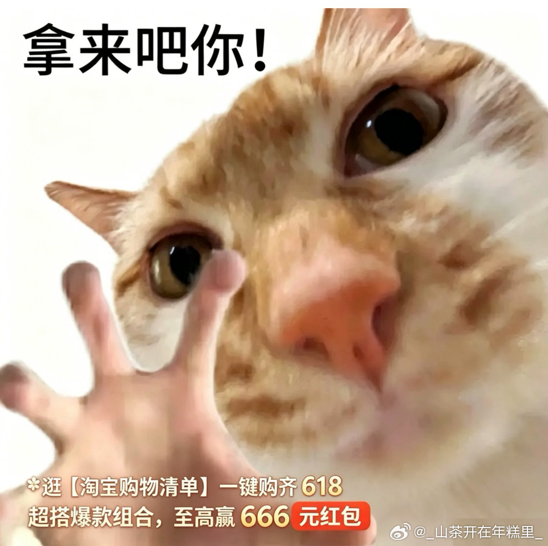 淘宝购物清单第一次准备露营完全不知道该买什么，刷了无数攻略越看越混乱，无意间发现