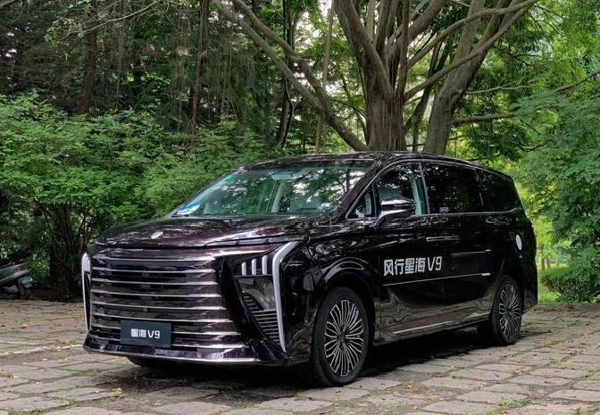 这车对于出行也特别友好，尤其是咱们的老年人上下车会轻松不少。

如果老母亲膝盖不