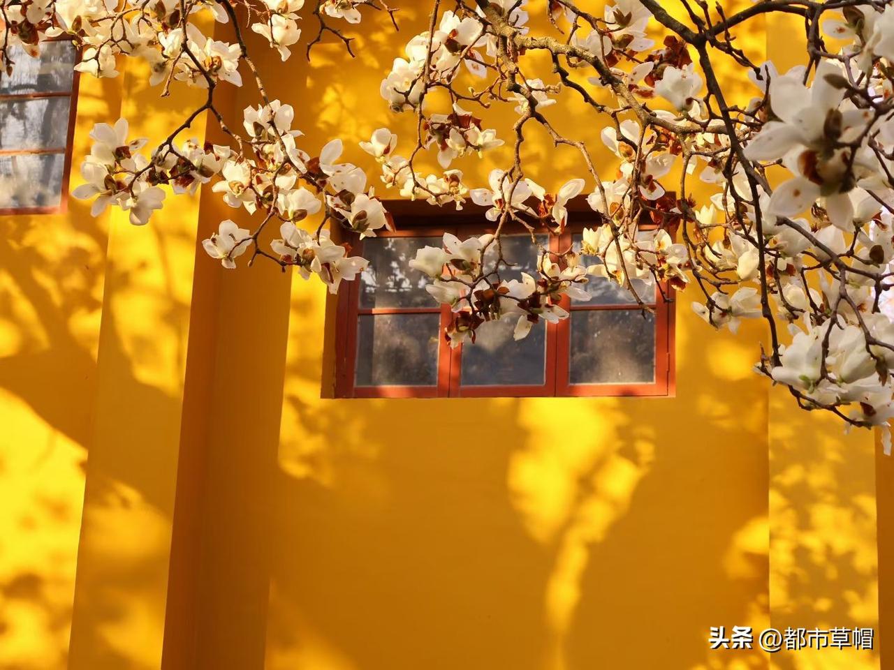 AI能完全替代演艺人员吗不能！从目前的实际应用看，AI还不够聪明，它比人强的地方