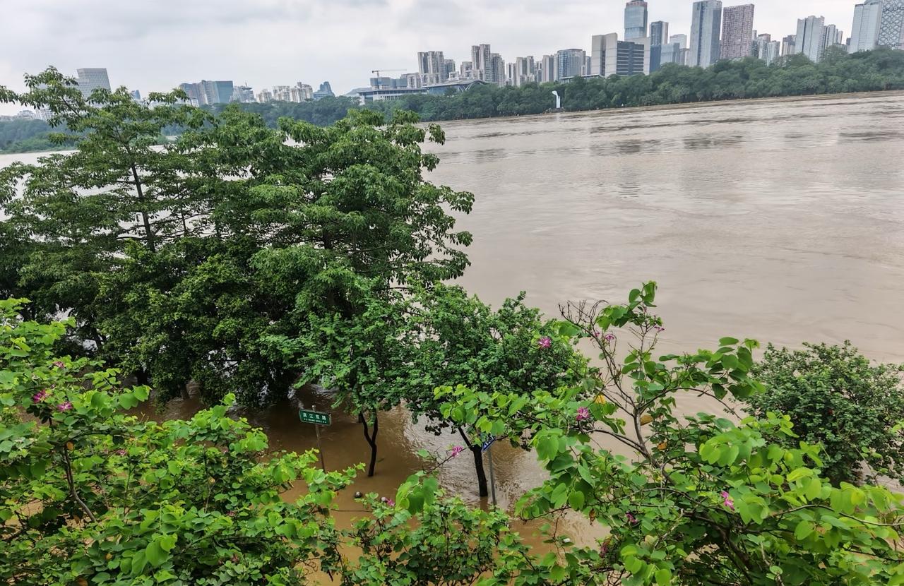 6月21日，柳州涨水实况

前两天暴雨下个不停，水就肉眼可见的涨，今天天晴了，不