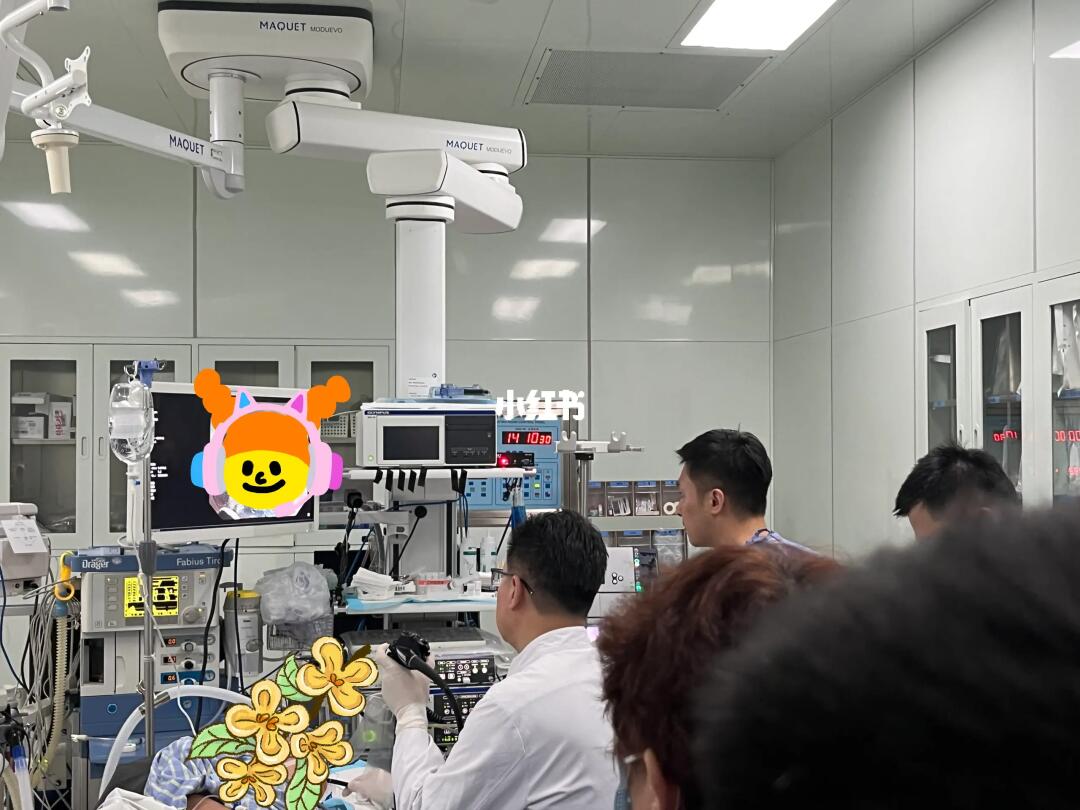 中年打工人生不起病