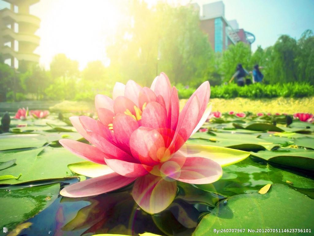 周四大A于低位呈窄幅震荡态势，周五能否重回上升趋势成为关键！
回顾周四的大A市场