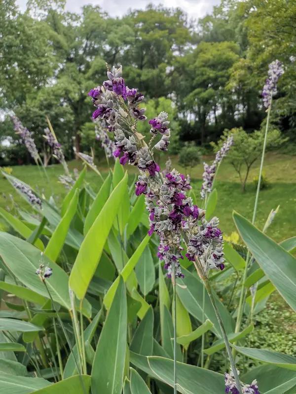 杜甫《江南逢李龟年》中仅“落花时节又逢君”一句，便满是感伤与无尽遗憾。毕竟光阴匆