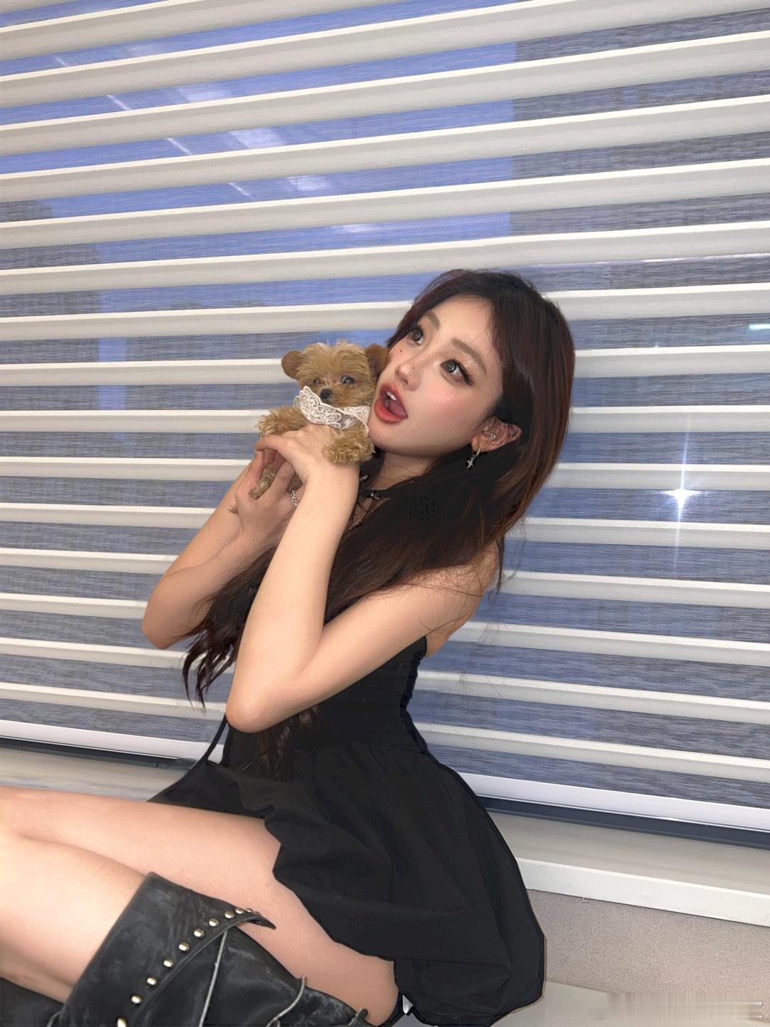 糟糕糟糕！！🐶🐱 被小鼻嘎包围了 ˶‾᷄ ⁻̫ ‾᷅˵ ​​​