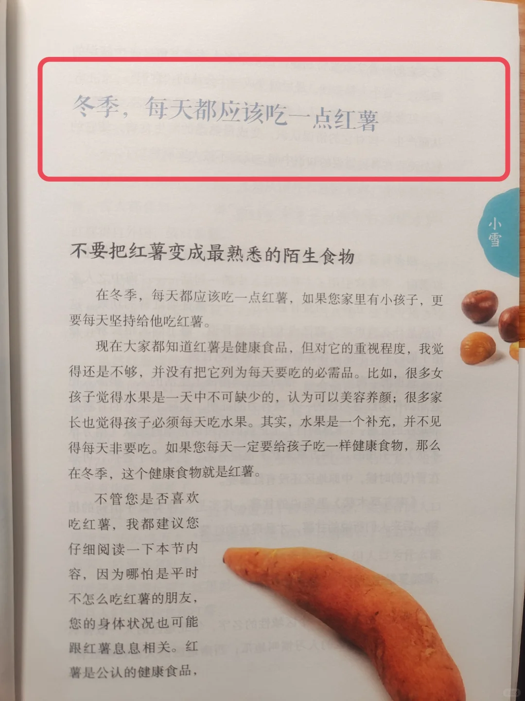 陈允斌老师——冬天，吃红薯的智慧🔥