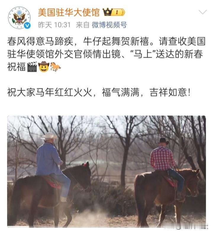 多国驻华大使恭贺马年新春