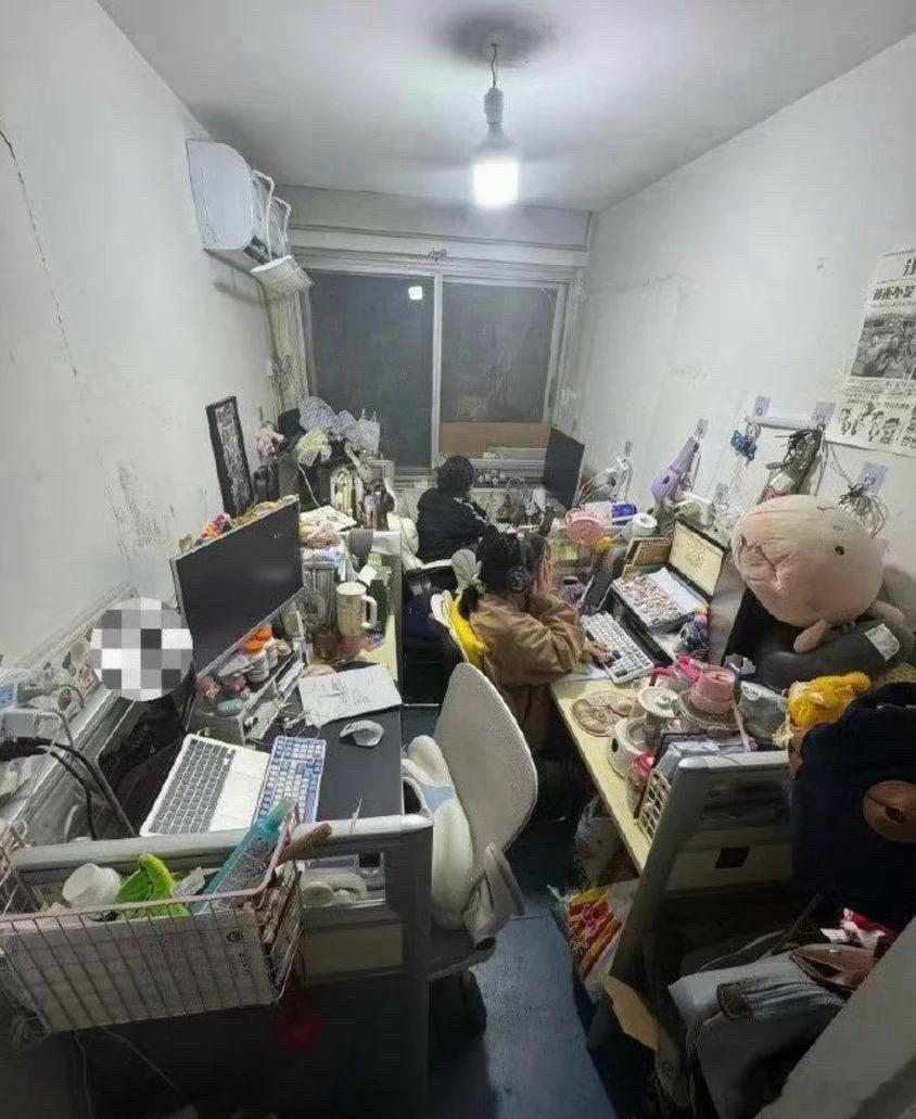 这环境，待久了能不生情？ 
