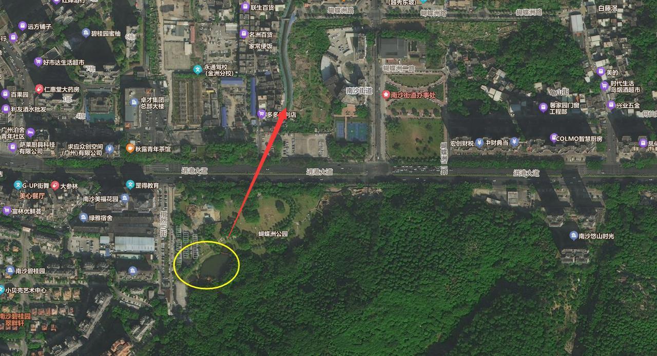 【南沙继续推进市区防涝！这次是进港大道】南沙经济技术开发区建设中心发布黄山鲁蝴蝶