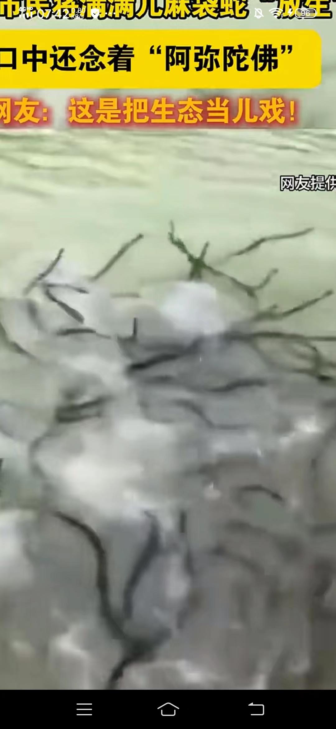 近日，有网友发视频称浙江大妈将三编织袋蛇倒如江中，一面倒蛇一面口中念到:保佑全家