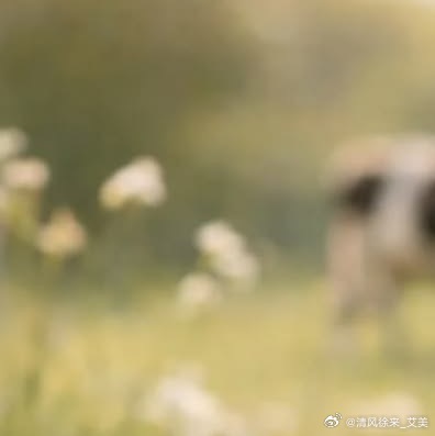 阳光信用  ❤阳光信用💜 【hu动指路 不吞必hui 不带🔗 勿带hui字，