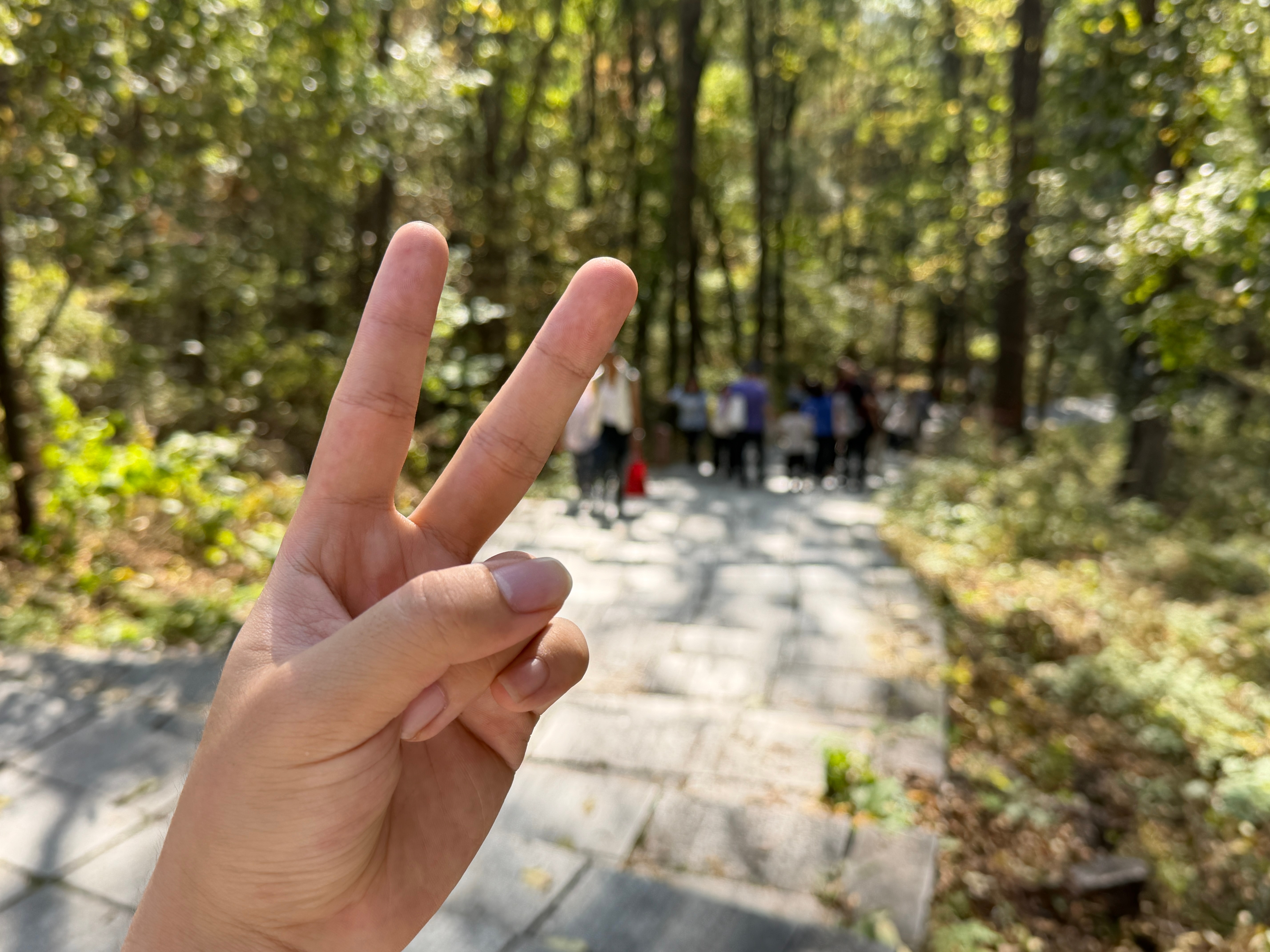 想问一下3个小时前的自己：你到底是有多想不开，十一来爬山？[裂开] ​​​