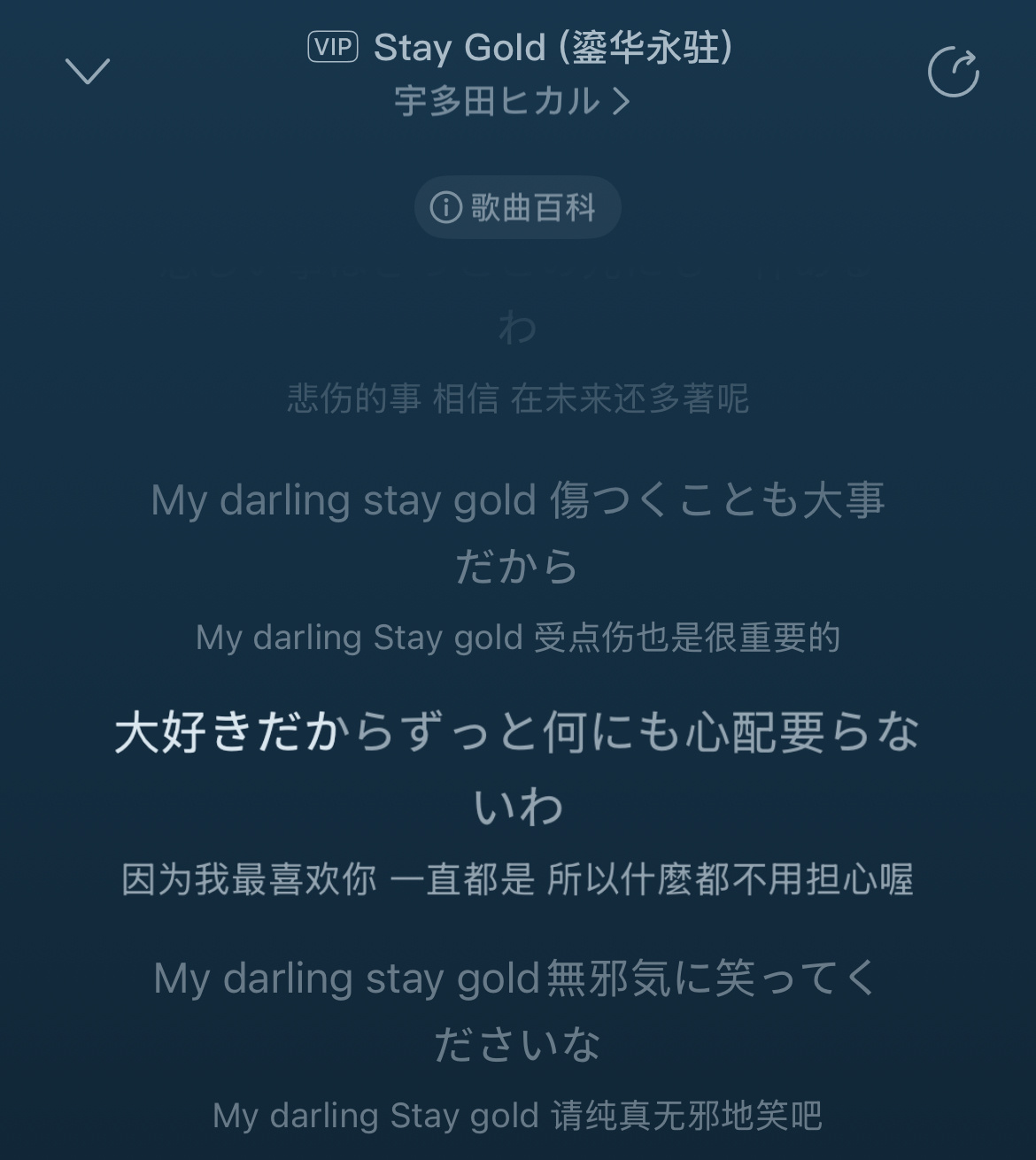 今日最激动我做的饭有人吃香晕了！而且起源是“My darling，stay go