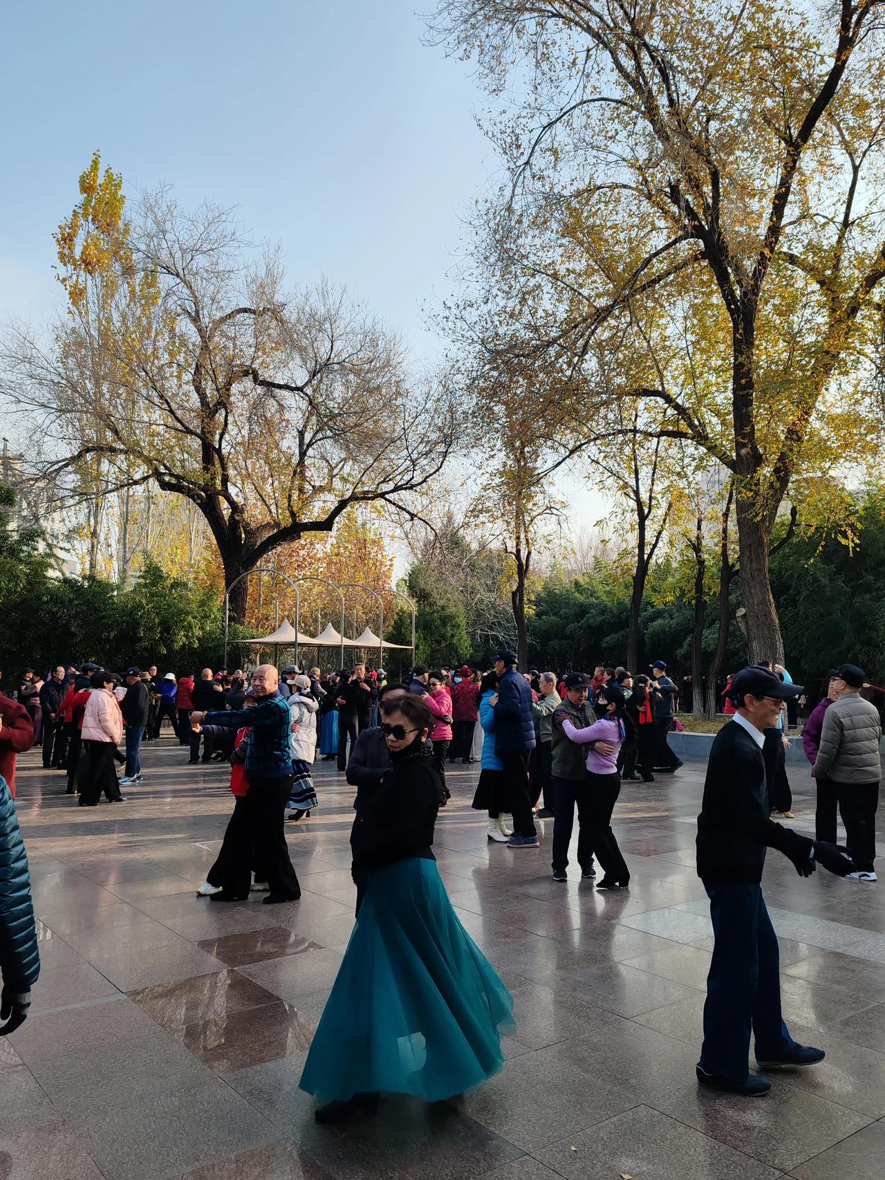 晒图笔记大赛初冬的季节，深秋的气候。髙髙兴兴地舞起来。