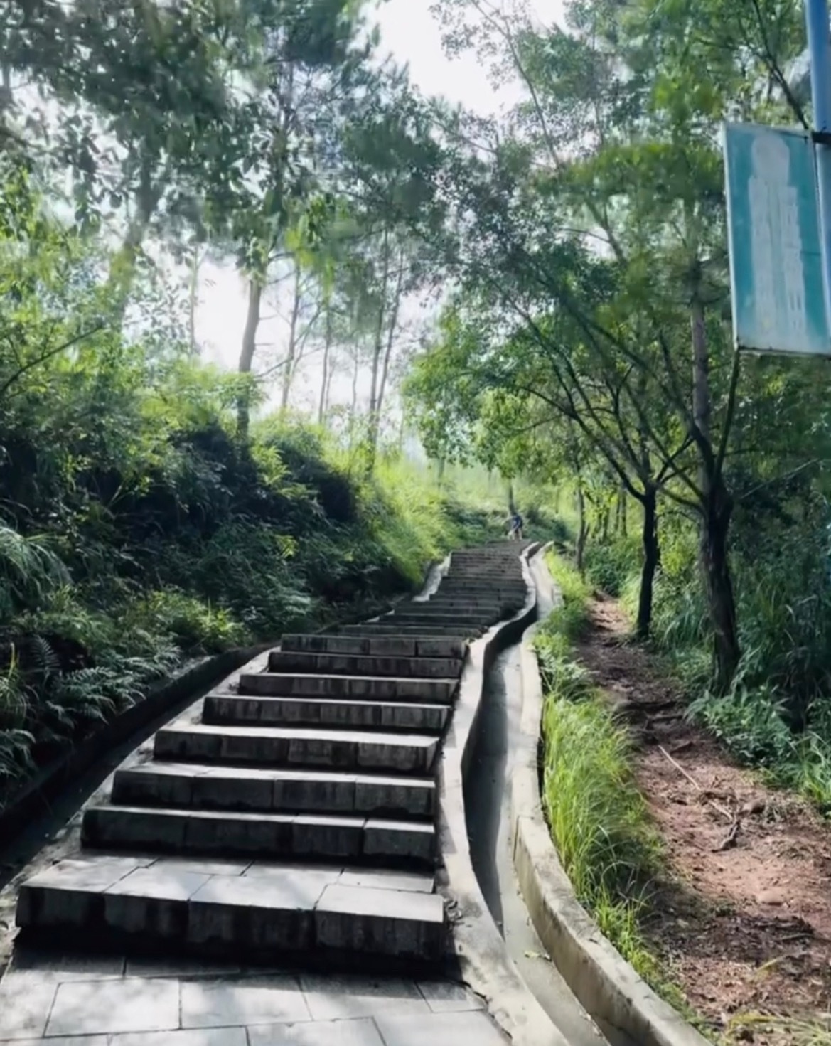 【玉林龟山公园部分区域临时封闭】7月23日，玉林市玉东新区市容服务中心发布：受近