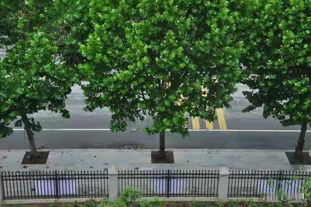 在时间缝隙里，采撷属于自己的星光

窗外的梧桐叶第几次飘落时，你才猛然惊觉：我们