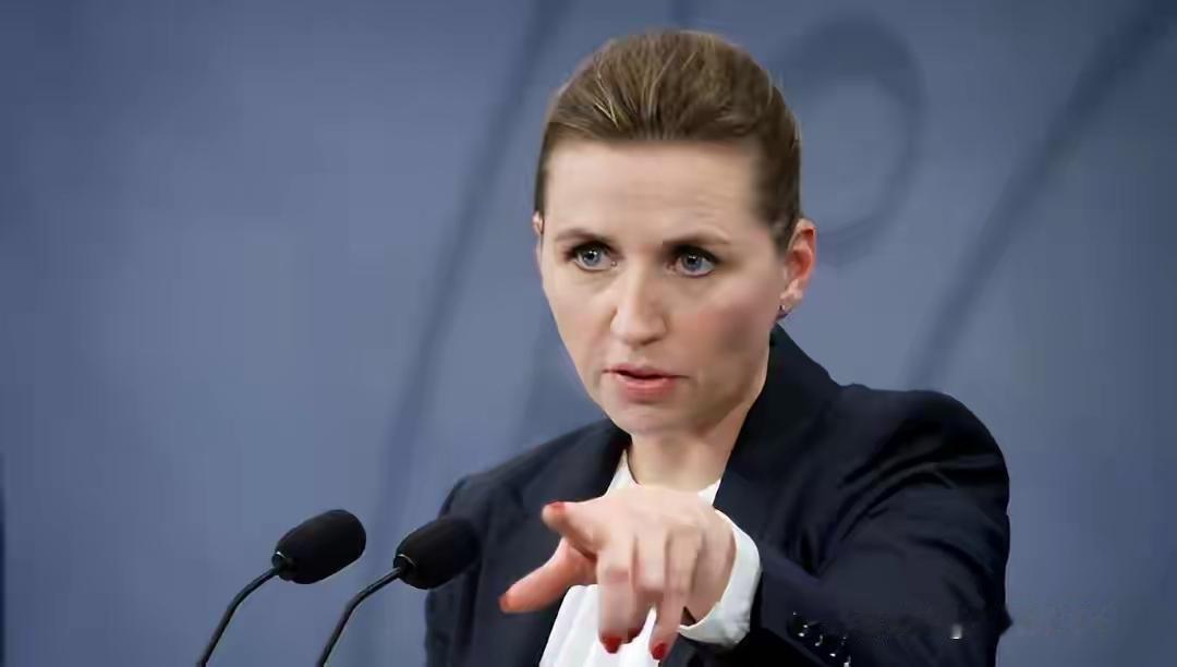 童美国盯着格陵兰岛不放，白宫放话军事手段也不是不行，直接把丹麦逼急了。
丹麦反手