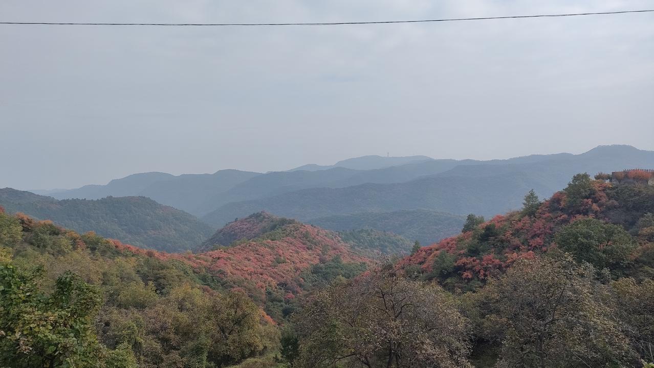 又到深秋又到叶红，韩城市香山红叶在群山中挥洒激情，到来无数文人墨客。当然啦，如今