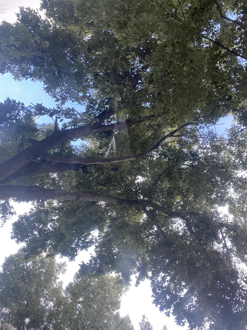 我的今日状态：😁轻松愉快
我这里的天气：🌤️多云