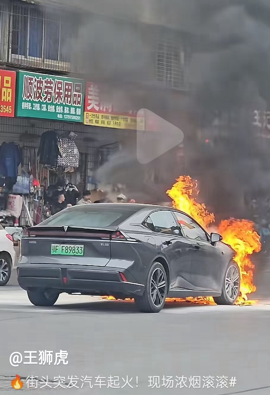 看着火部位，应该不是电池的问题吧？这台深蓝SL03应该是最早期的版本了好像到现在