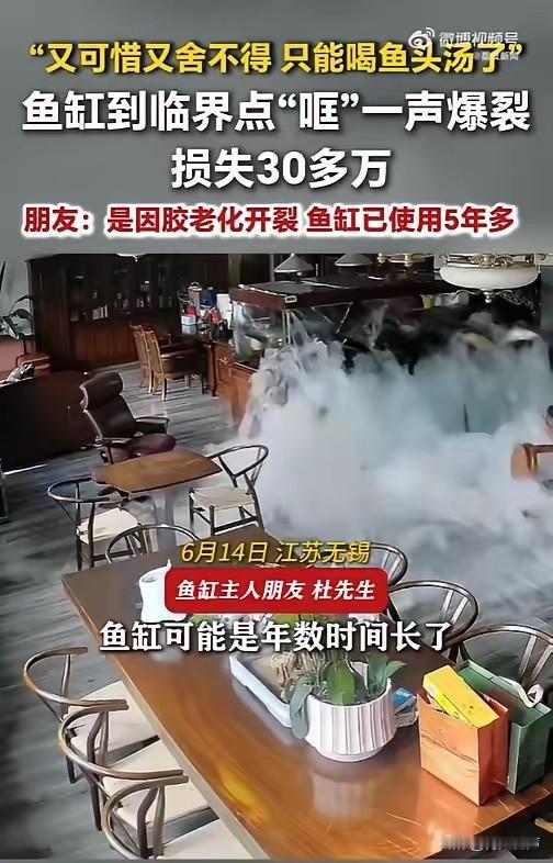 “太惨了！”6月15日报道，江苏无锡，一男子家中养了五年的大鱼缸，因为胶体老化，