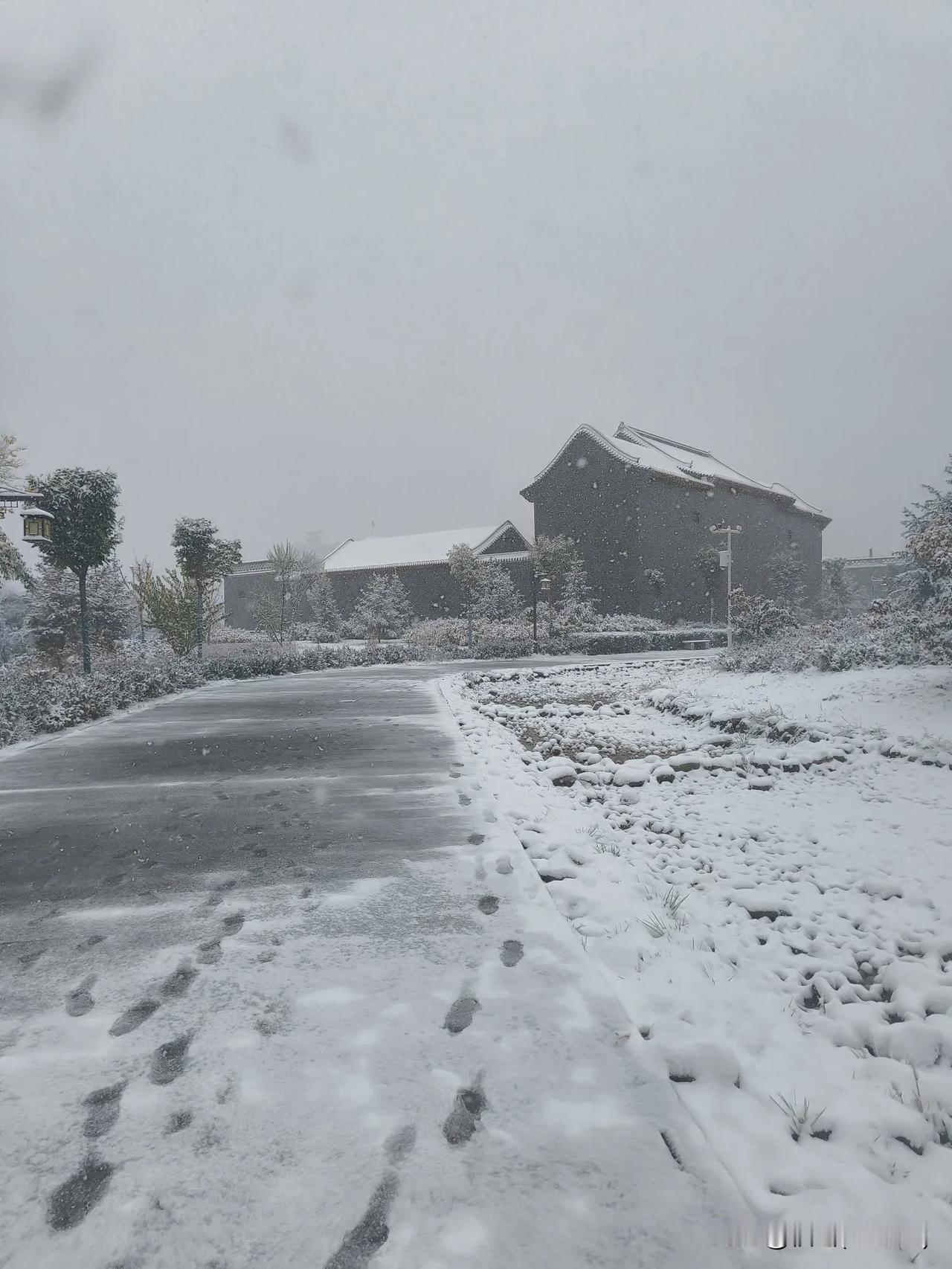 必须得好好记录一下，谁能够想到还不到11月，今天是10月21号，这边下了大雪。