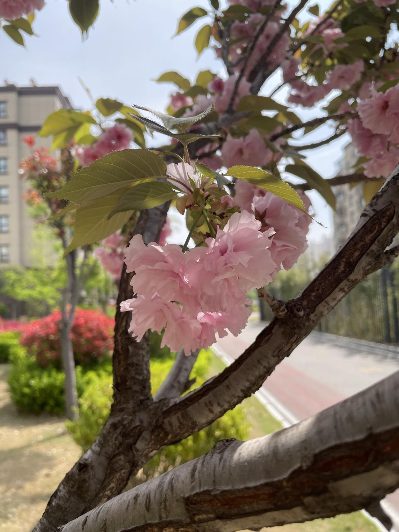 只有内心富足了，才会觉得一切都在掌握之中，才不会手忙脚乱！还是要多学习沉淀自己！