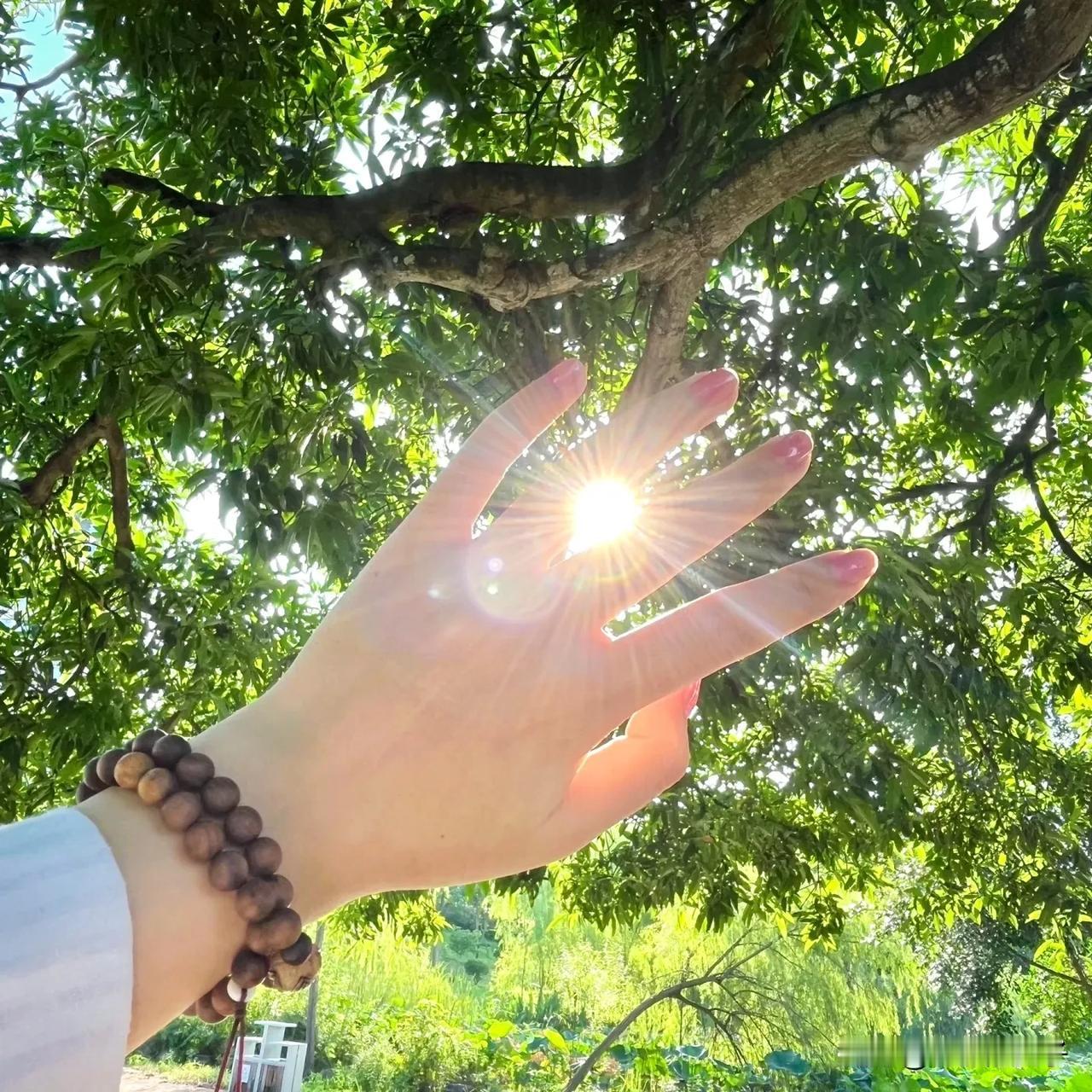 4月1日起光伏电池出口退税取消！这4个板块要受益。
 
重磅政策来了！4月1日起