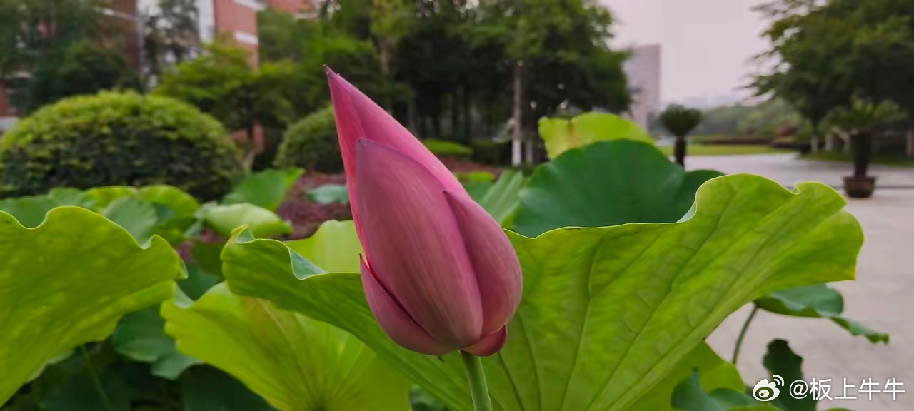 炒股永远只是少数人赚钱股票的价格很难停留在一个狭窄的空间，往往不是超跌，就是过涨