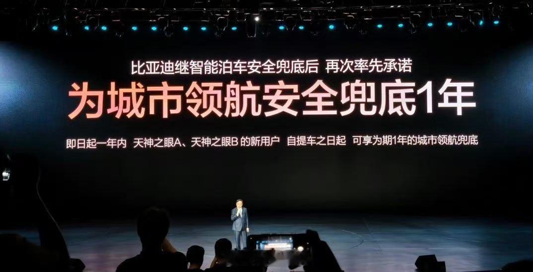 比亚迪 会当凌绝顶，一览众山小。