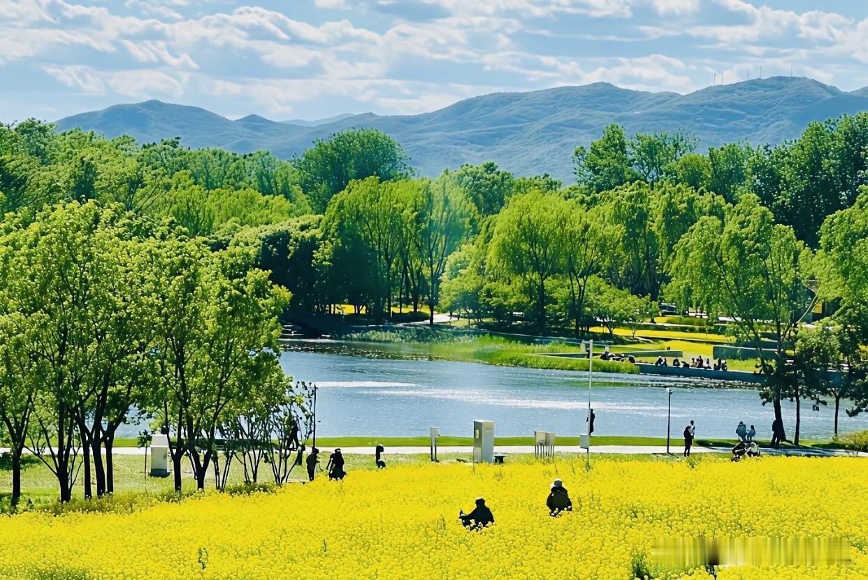 计划合户，全力申购永大股份

昨天晚间，金戈新材的申购结果出炉，申购资金并未像一