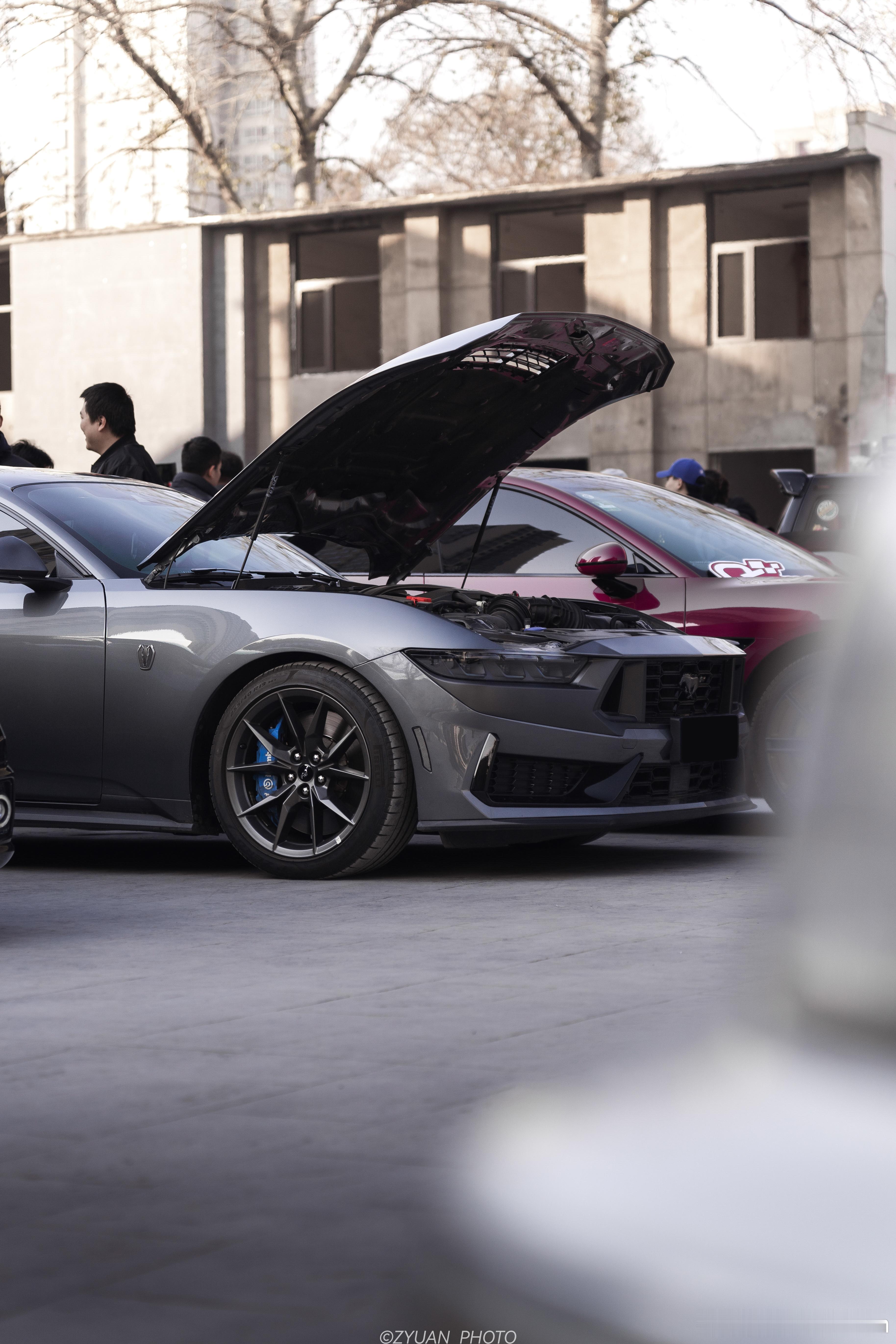 📸马年的开端先来一组Mustang许久没有正儿八经的拍一组Mustang,这次