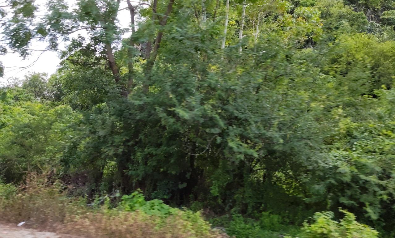 一女生谈过6个朋友，且跟6个男朋友都同居过，这样随便的女生能娶吗？说真的这么随便
