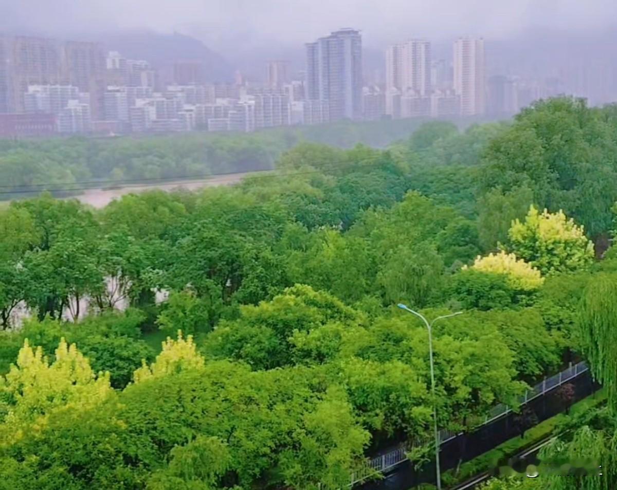 容我小小凡尔赛一下。盛夏时节的兰州，连日迎来数场降雨，回归本真的味道。清风漫过城