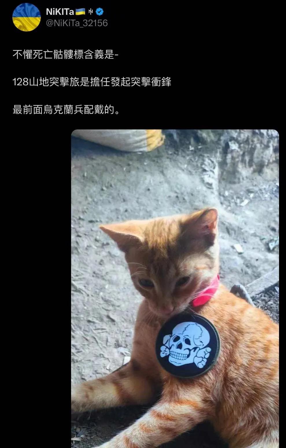 某些用中文的精神乌克兰人真是不要脸[看]