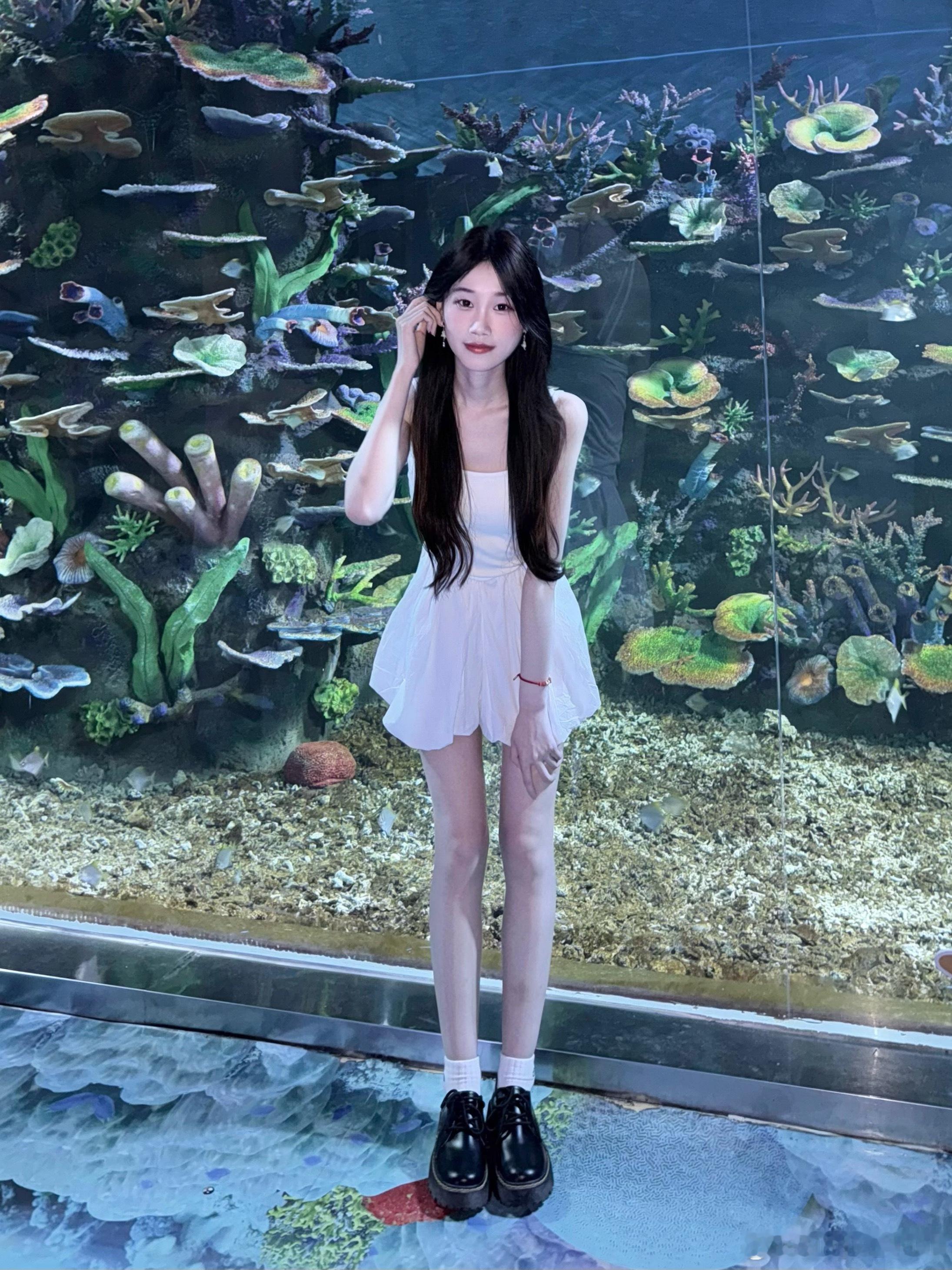 🌊🐳🐬🐚🫧 ​​​
