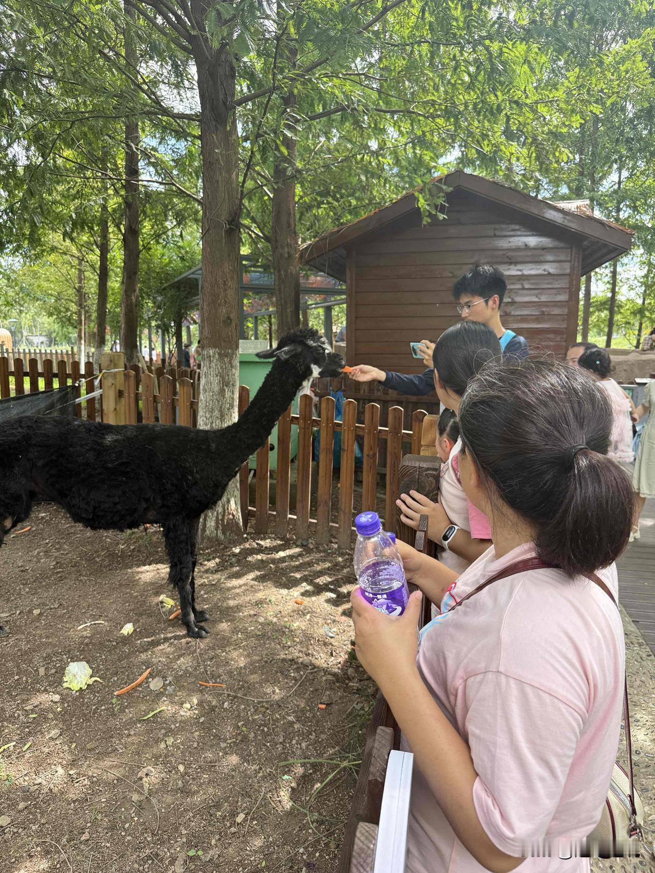 血淋淋的事实告诉我们：
免费的往往是致命的，
好店不转让，
好活不招人，
好货不