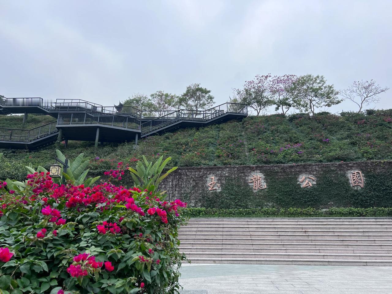 往龙华文化产业园，途经新区大道，巧遇玉龙山。停车坐爱花草香，用半小时逛了这座小山