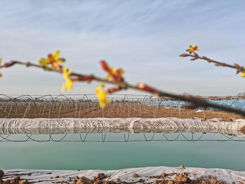 上联：春回大地，千山万水焕生机；
下联：福落人间，五湖四海庆团圆。