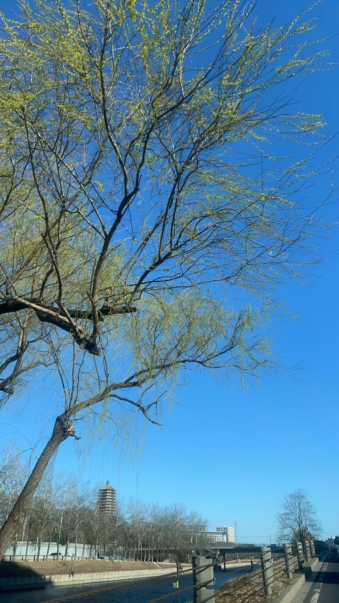 《委托别人保管的公共财物，到底还算不算公共财物》

今天跟大家聊一个很有意思的案