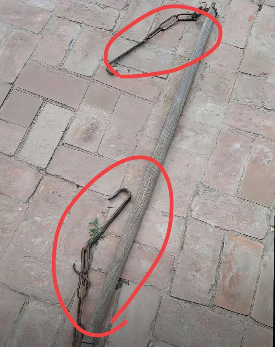 知道这是什么吗？它是用来干什么的？有知道的朋友吗？请将你的答案打在评论区。