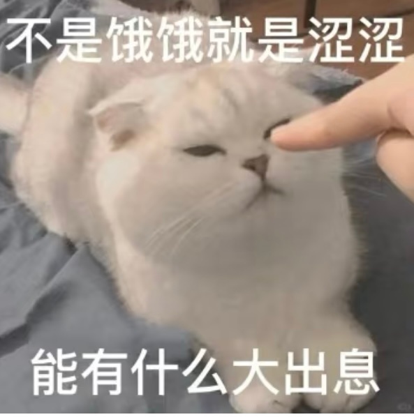 哥哥白衬衫居然是无袖的刘宇宁不经意叫宝宝 🍓刘宇宁开始推理吧 ﻿