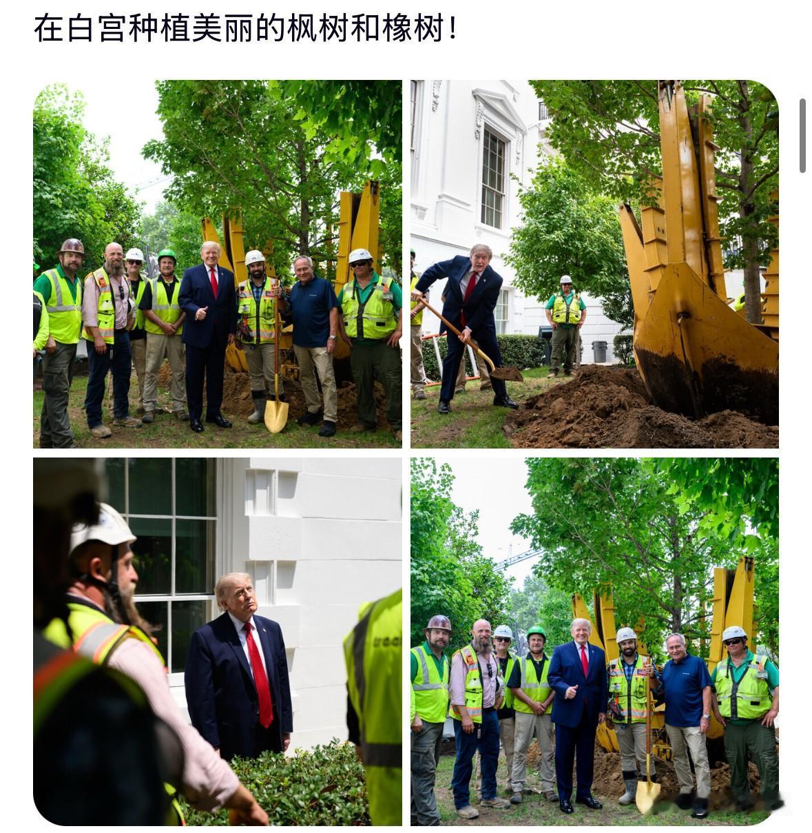 特朗普这植树操作还挺有“故事”。之前他和马克龙还在白宫草坪共同植树，象征两国友谊