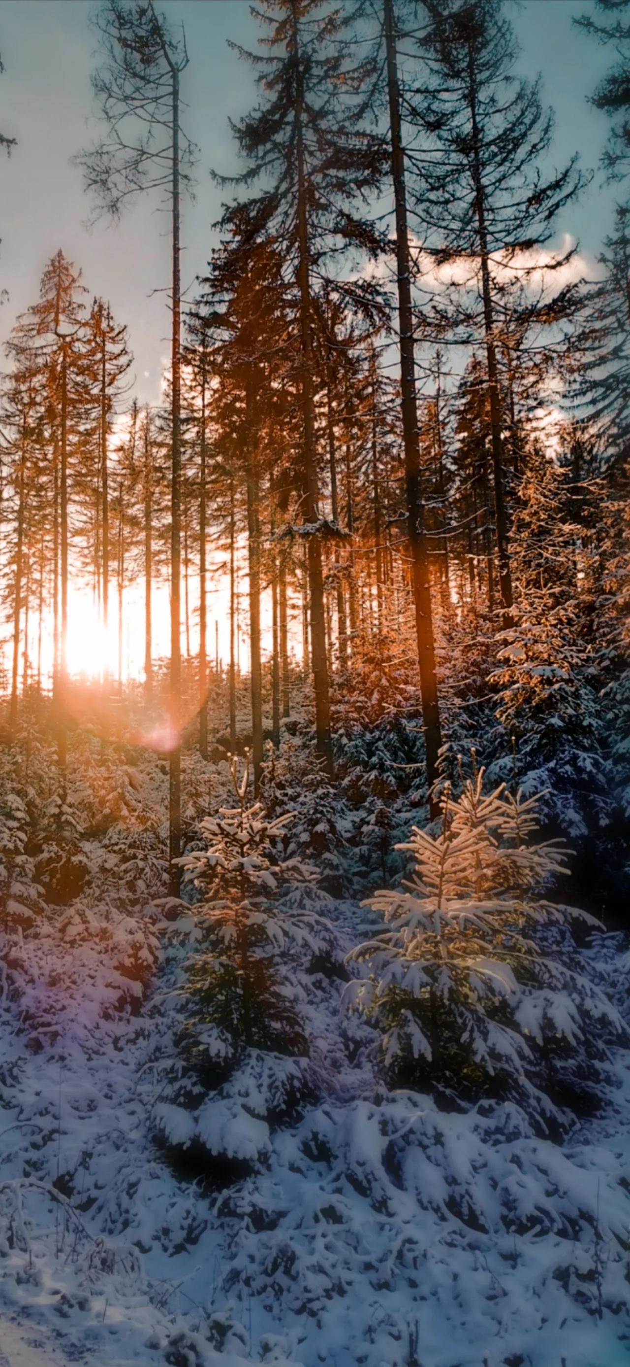 压力转换为动力这句鸡汤，其实害了很多人。压力不能转化为动力，只能转换为病例。我们