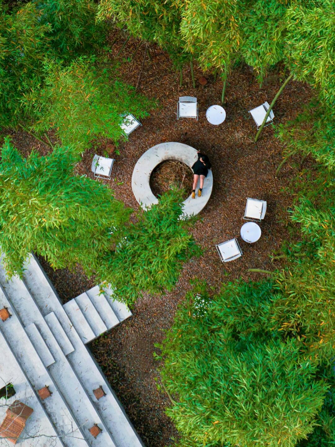 春风恰几，许竹影入画来 不负moj不存遗