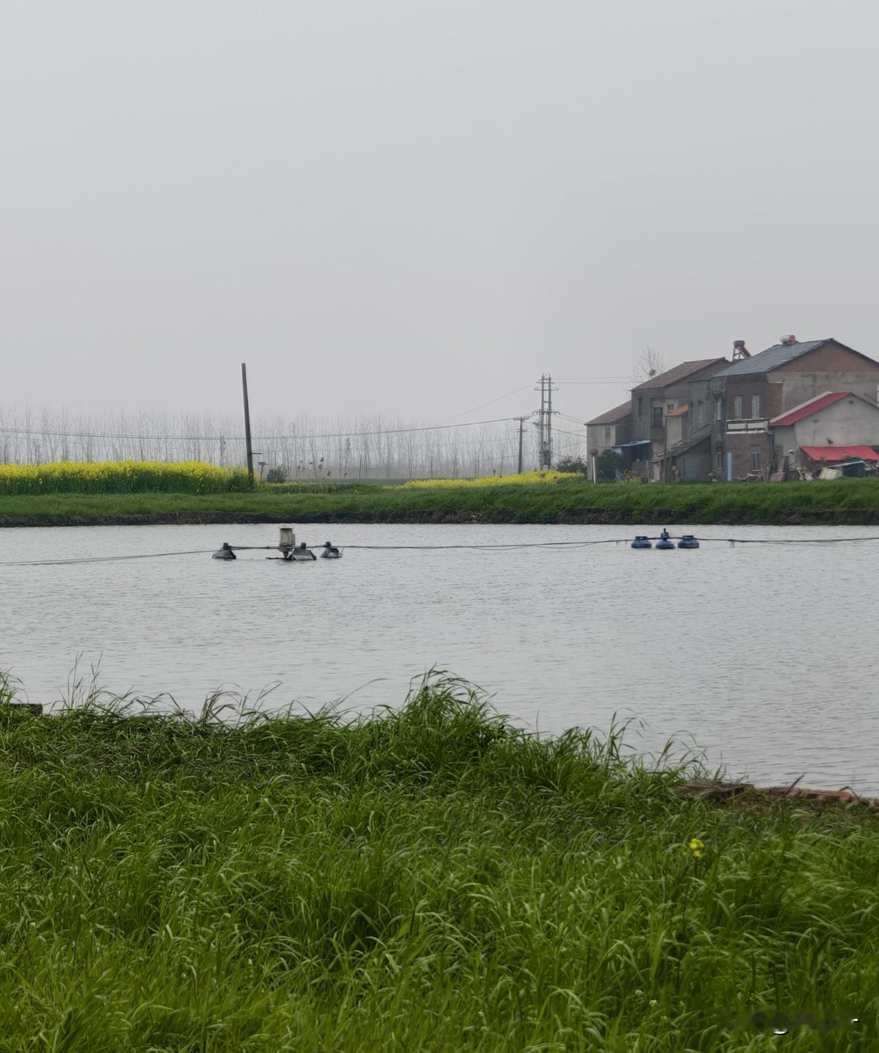 农民人均一亩地一年能收入多少钱?
同样是一亩地，不同的经营方法，收入差距超过10