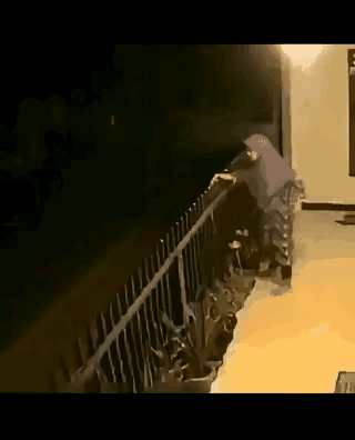 以后还敢玩恶作剧不？