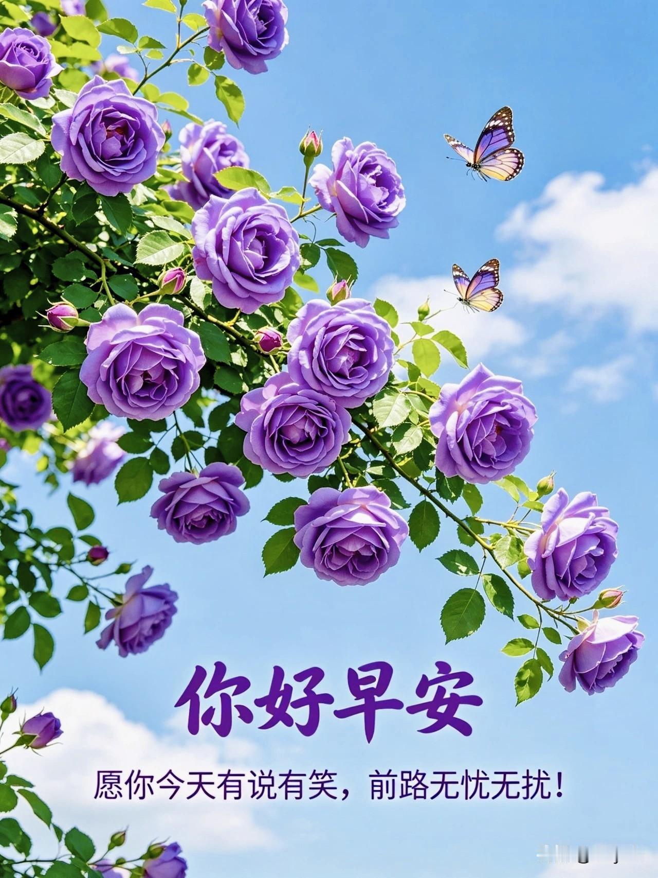 声声问候寄深情，
满满祝福伴朝夕。
所愿皆能遂心意，
日日常怀好心情。

清晨寄