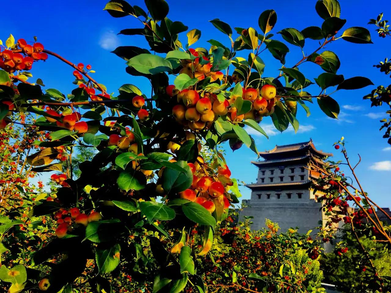 柳垂烟雨岸，
杨矗堡村前。
横批：《杨柳堡村》