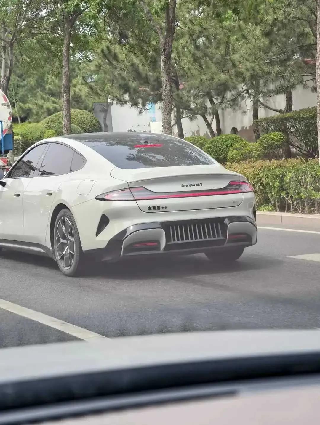 网友：这车主太逗了，活在梗里，真是个活宝！
