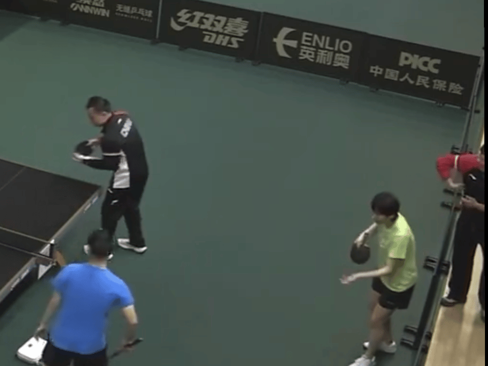 鱼鱼中午炒了三个菜 